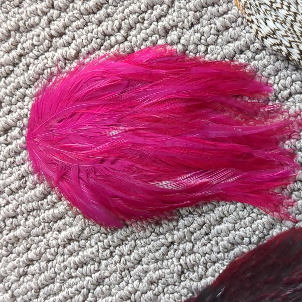 Authentic Feather Collection - Picture 4 of 9